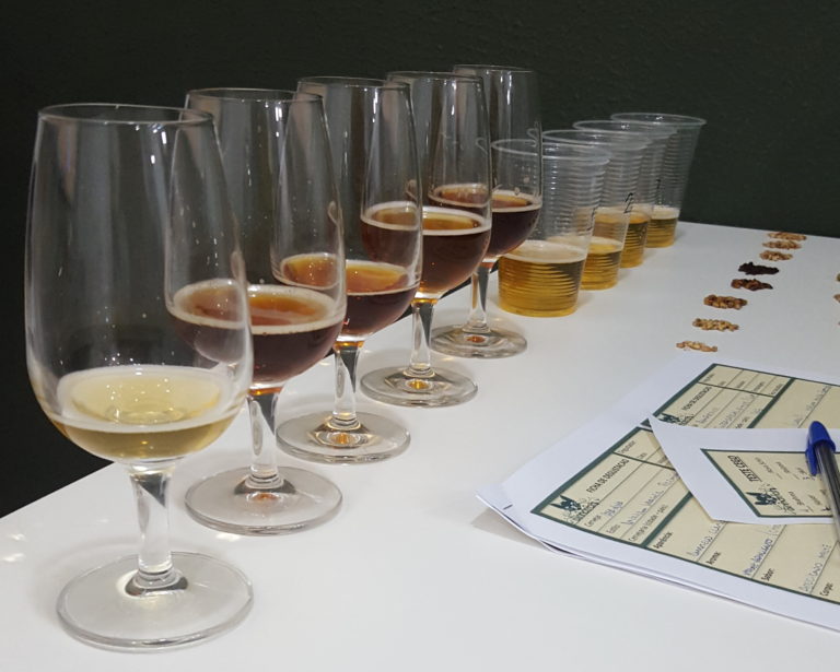 Fabricação, degustação, graduação em cerveja: Qual o curso ideal para você?