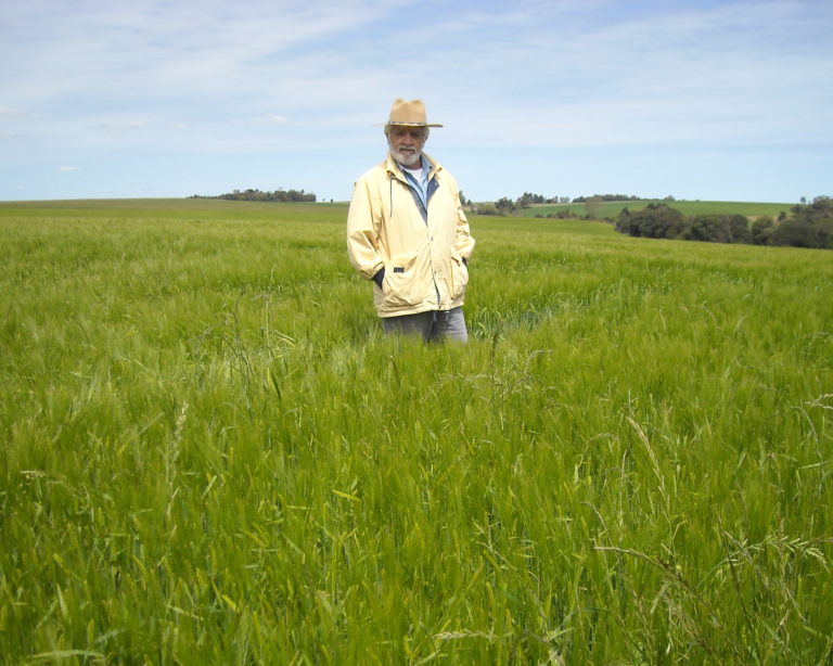 Entrevista: Brasil pode dobrar produção de malte e sonhar com o lúpulo próprio