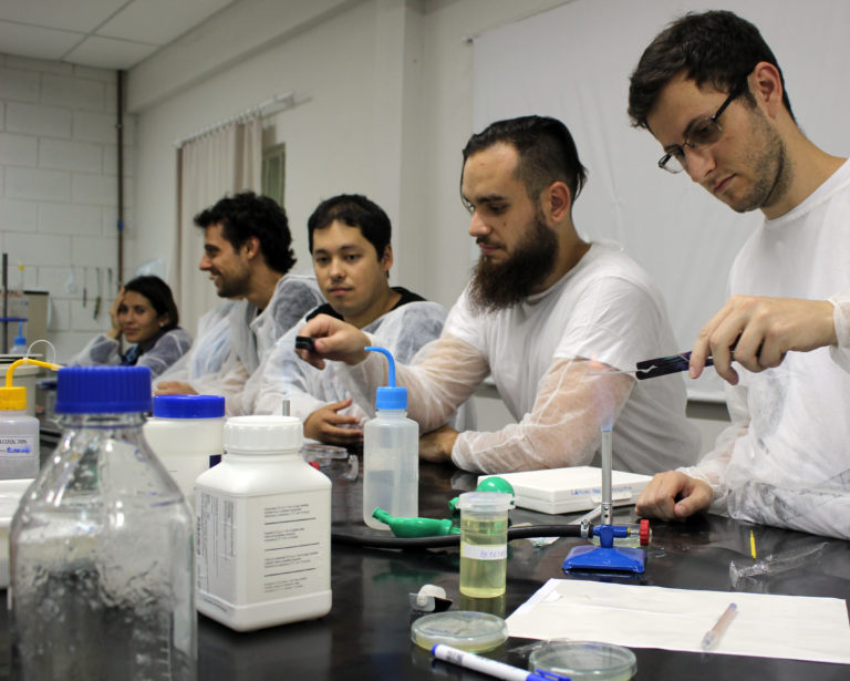 Novo curso ensina a produzir cerveja sem glúten, high gravity e sem álcool