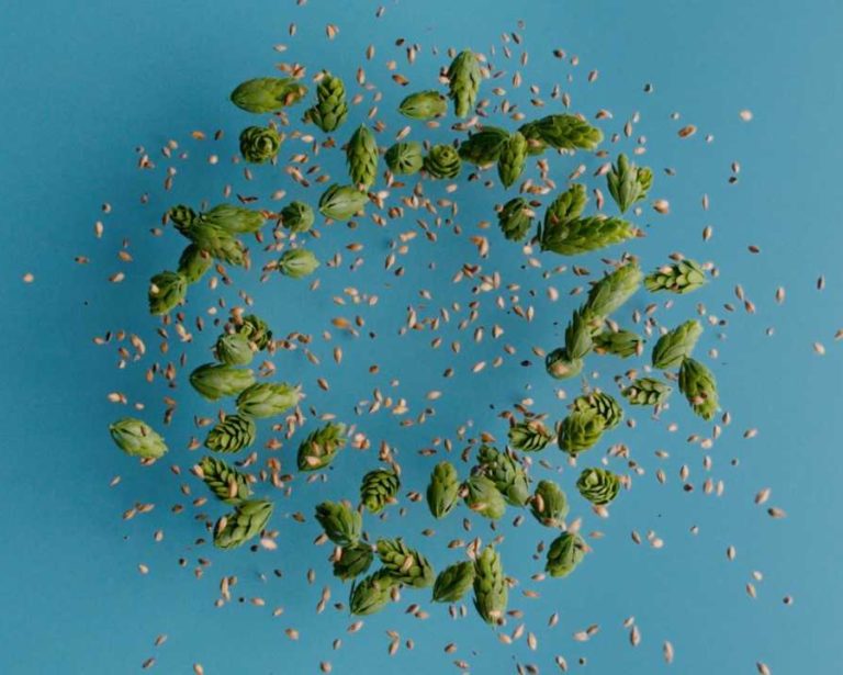 Em meio à tensão política, lúpulo “destoa” e vira um dos termos mais buscados no país