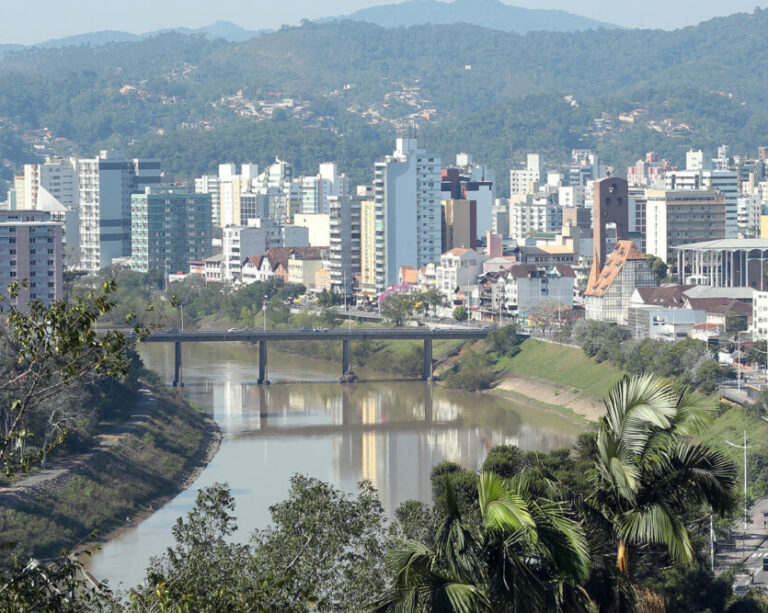 Festival Brasileiro: Diversidade em torno da cerveja