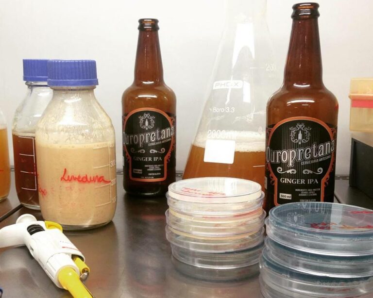 Laboratório da Cerveja muda de status e passa a integrar ação do BiotechTown