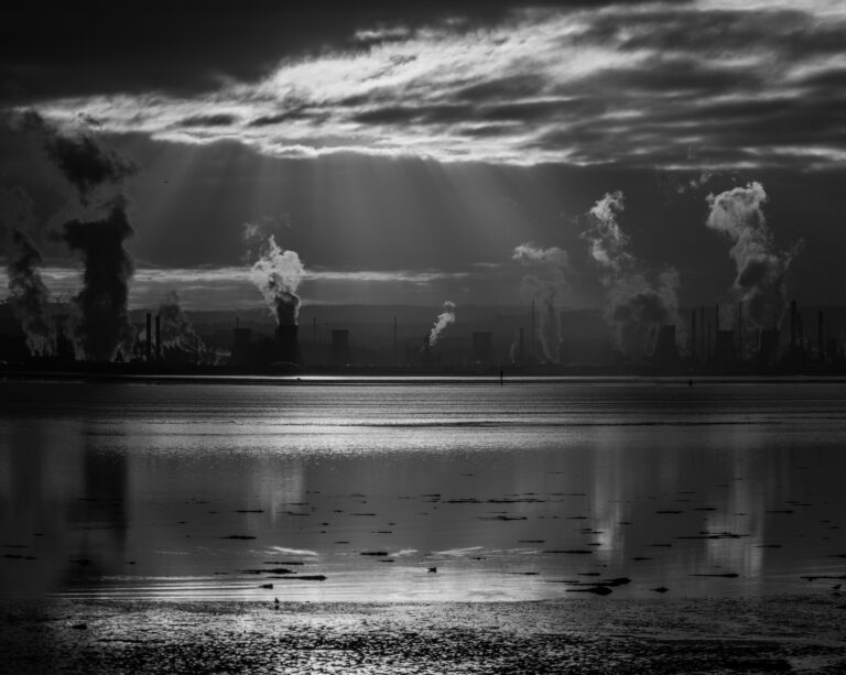 Impactos do aquecimento global no setor cervejeiro alarmam especialistas