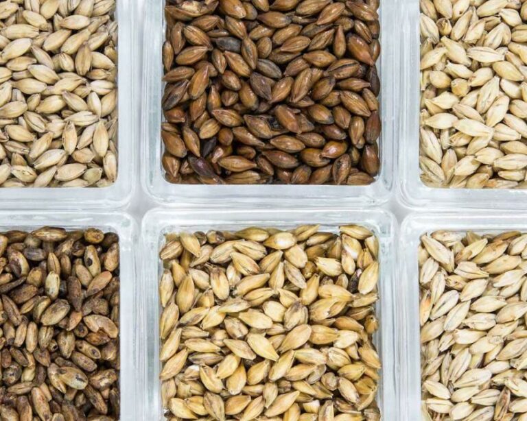 Em meio à insegurança jurídica, cervejas puro malte ganham espaço e atraem fãs