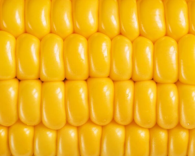 Balcão do Tributarista: Milho na cerveja e o Padrão de Identidade e Qualidade