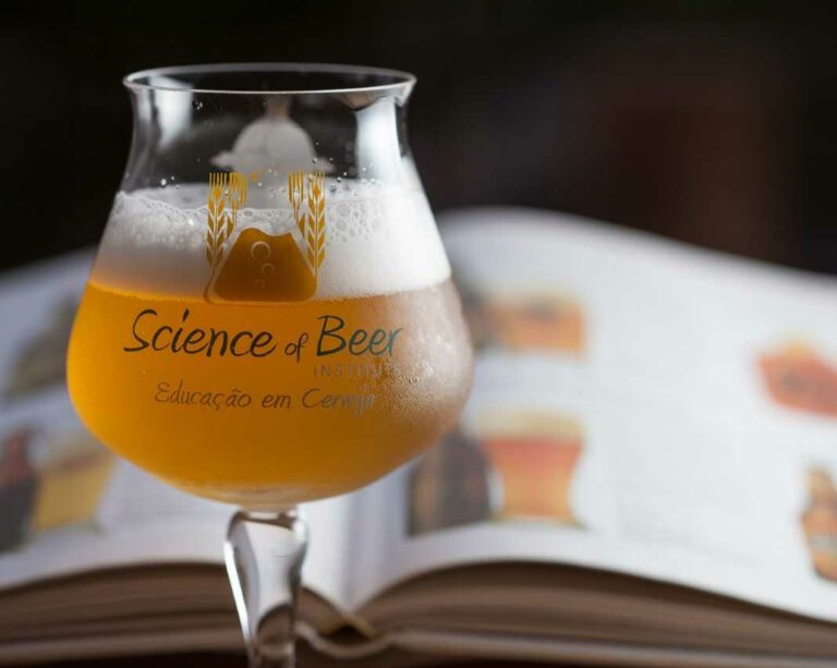 7 cidades que receberão cursos de sommelier do Science of Beer
