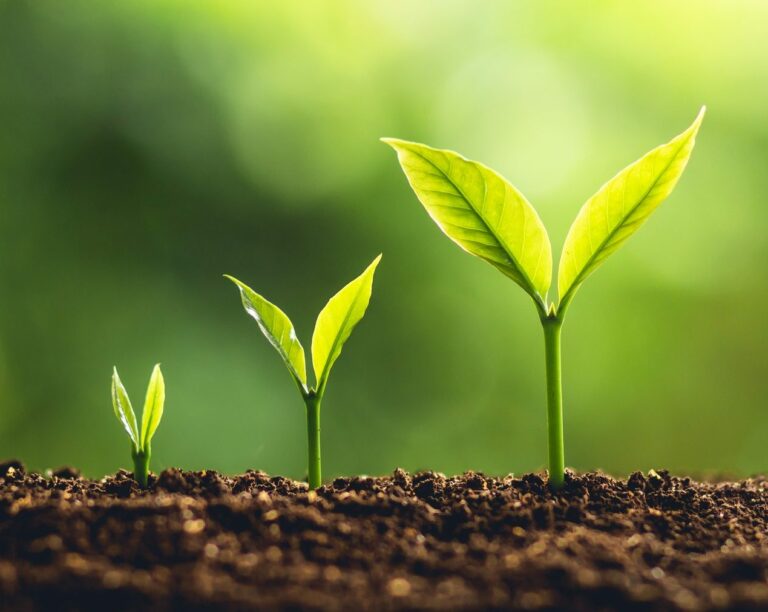 Cerveja e Negócios: O crescimento e suas dores