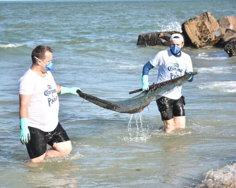 Ação da Corona retira 300kg de óleo de praias e alerta para desastre ambiental