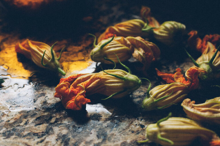 Primavera cervejeira: Dicas de harmonização para a estação mais querida do ano