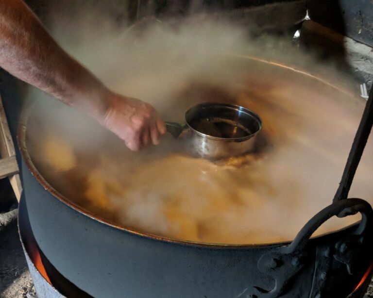 Balcão do Laboratório da Cerveja: O fantástico mundo das leveduras Kveik