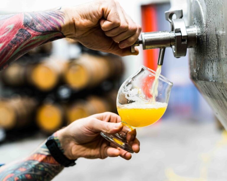 Infográfico: O perfil das cervejarias independentes segundo o censo cervejeiro