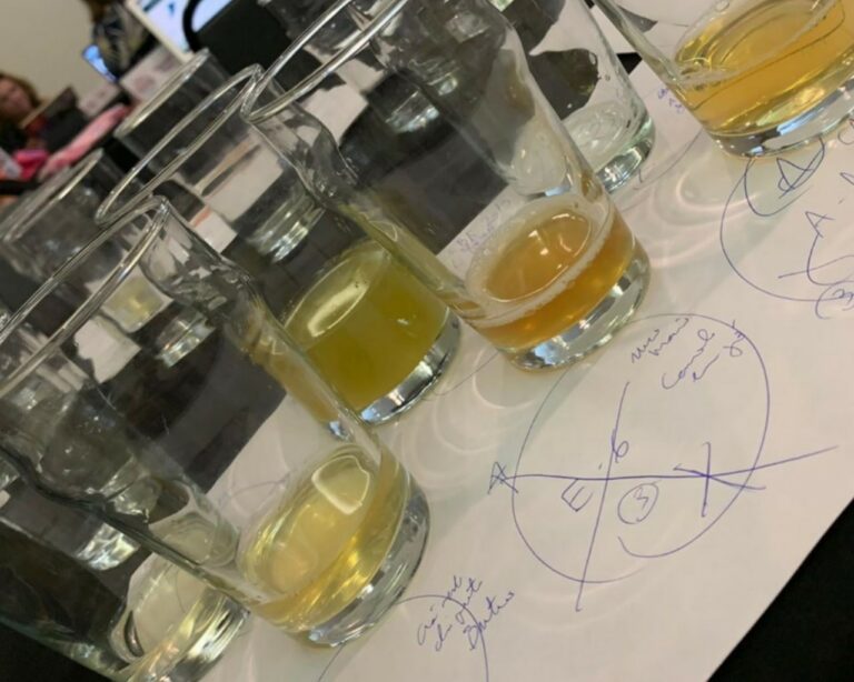 Concurso inédito de kombucha premia os melhores de Brasil e Uruguai