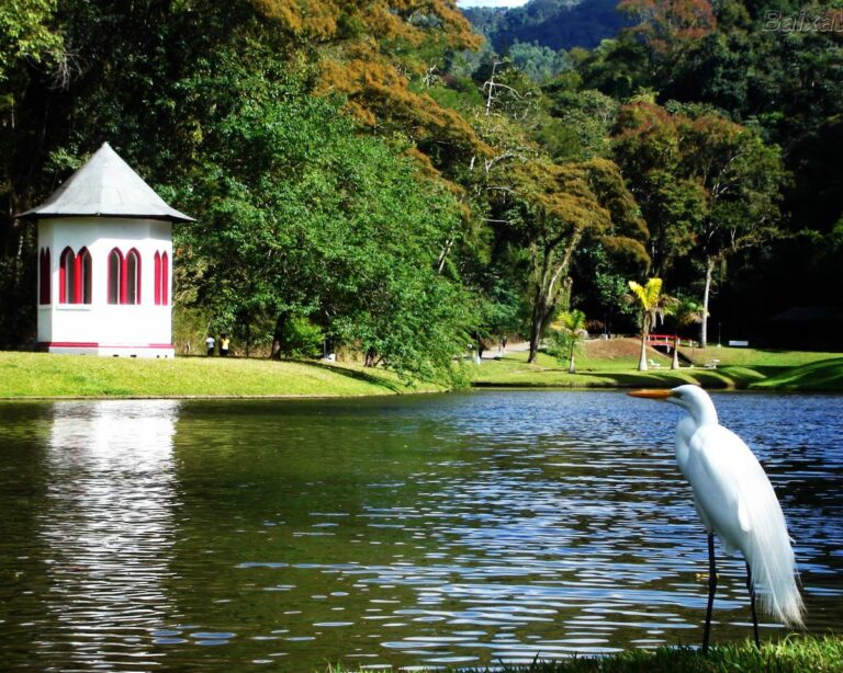 Festival da Rota RJ ocorre em Nova Friburgo apostando em boas cervejas e paisagens