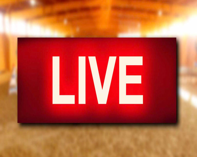 Guia lança live e aborda desafio da busca pelo melhor preço da cerveja