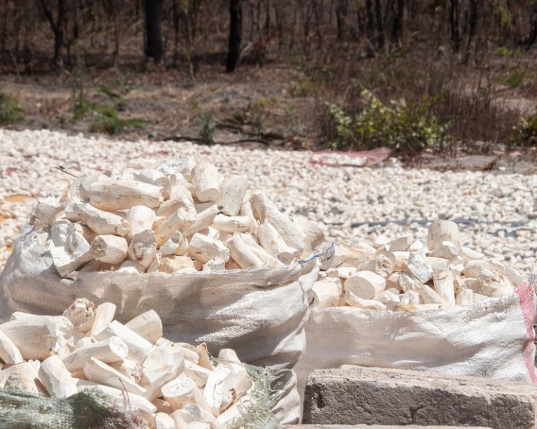 Cervejaria produz 100 mil unidades de sabão de mandioca para doar no MA