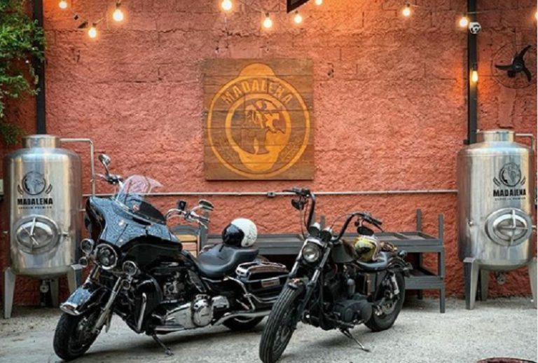 Madalena aposta em “velocidade” para se manter perto de clientes