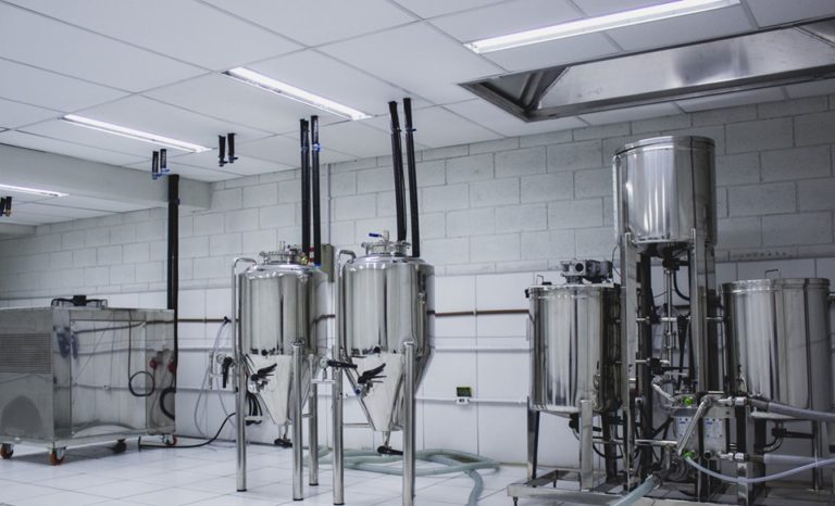 ESCM oferece webinar gratuito e abre inscrições para curso sobre fermentação