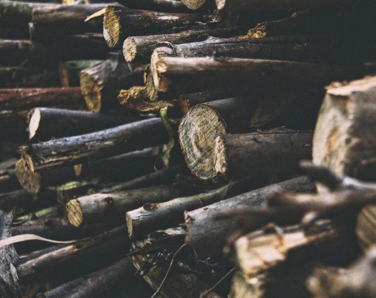 Crescimento na devastação da Amazônia deixa cerveja da Colorado 45,9% mais cara