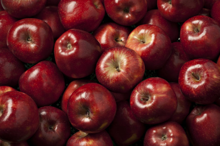 Balcão Beersenses: Temos que discutir o indiscutível e desenhar com maçãs