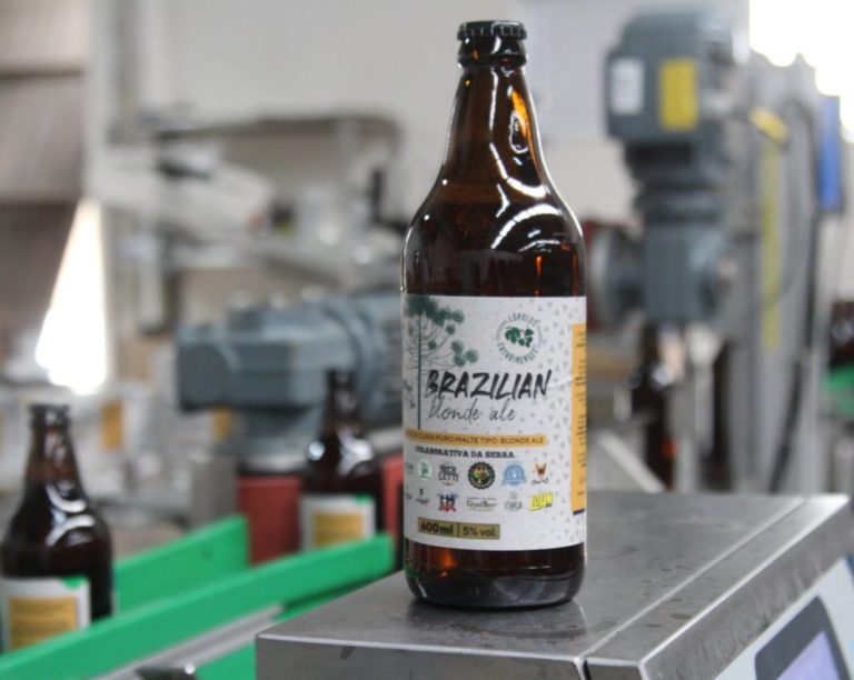 Projeto de lúpulo nacional da Ambev contribui para criação de colaborativa