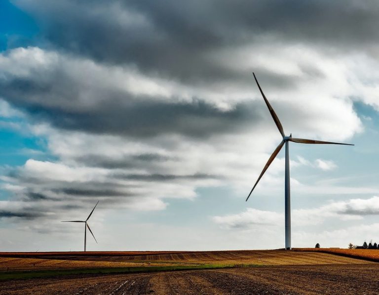 Balcão do Rodrigo: Corrida energética