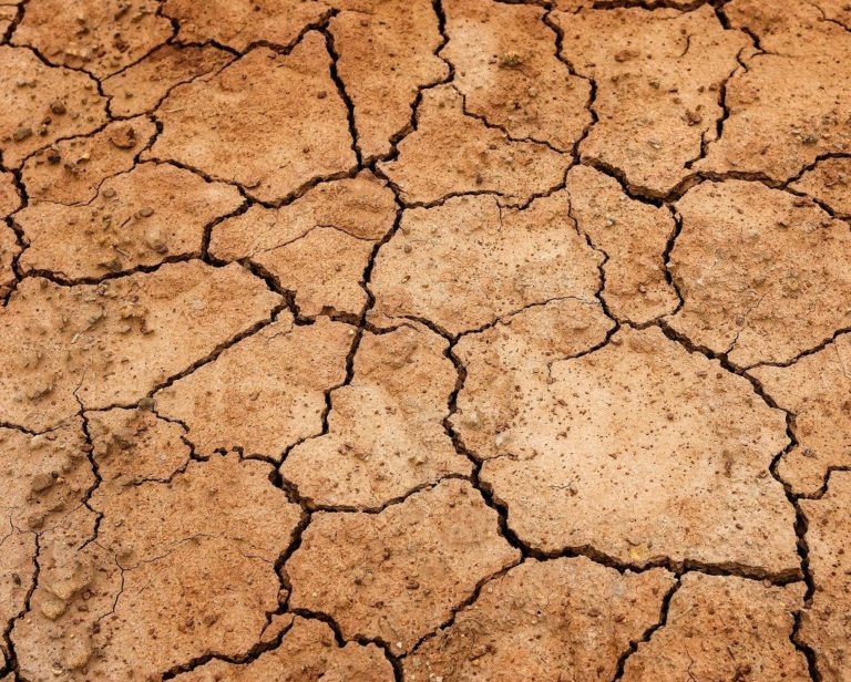 Balcão da Cilene: Da trilogia Desenhando Sonhos – Saga segunda