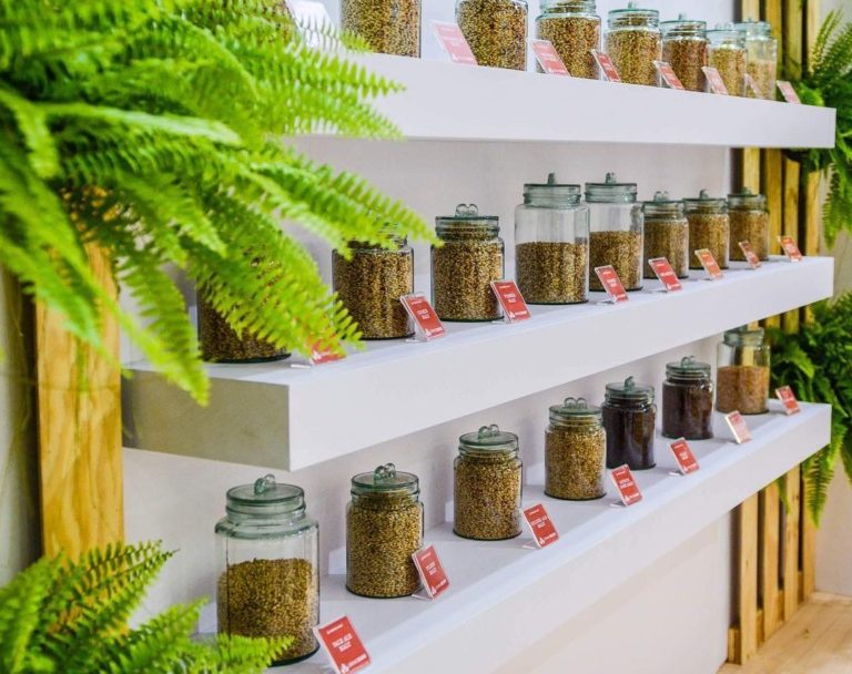 Tradição familiar e alto rendimento: Saiba mais sobre a Maltearia Viking