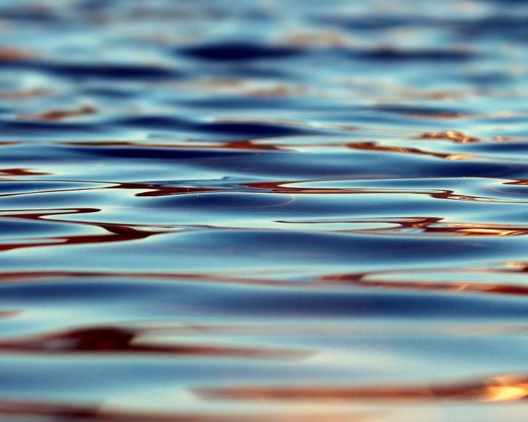 Balcão da Cilene: Da trilogia Desenhando Sonhos – Saga Segunda – Adendo