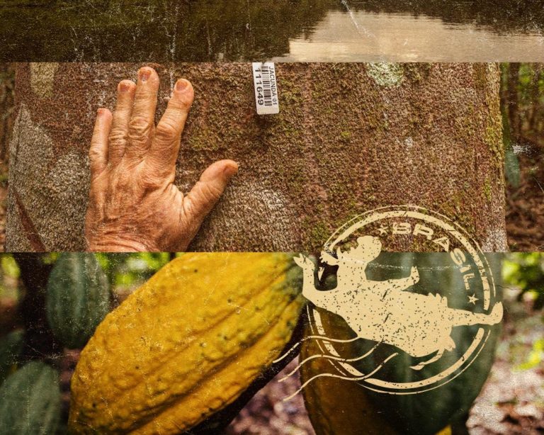 Como a Seasons levou o tema da preservação da Amazônia ao meio cervejeiro