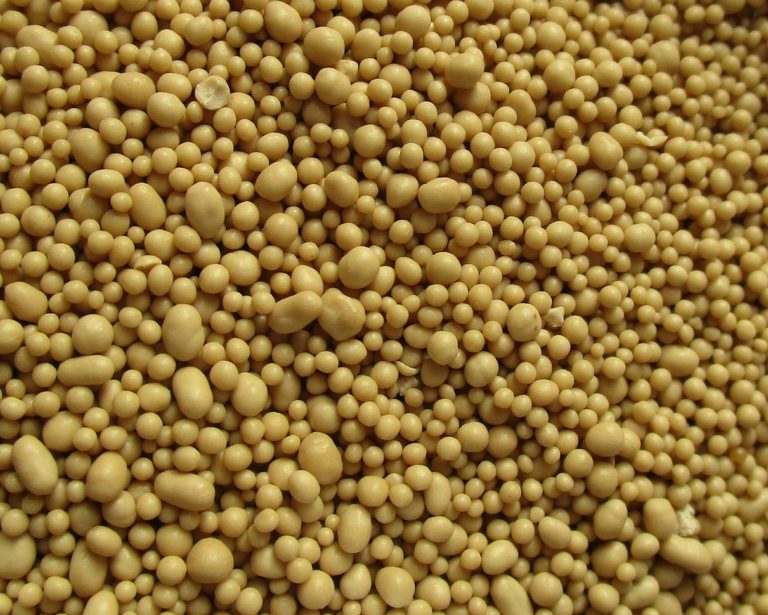 Artigo: Como leveduras cervejeiras sobreviveram 120 anos em um navio