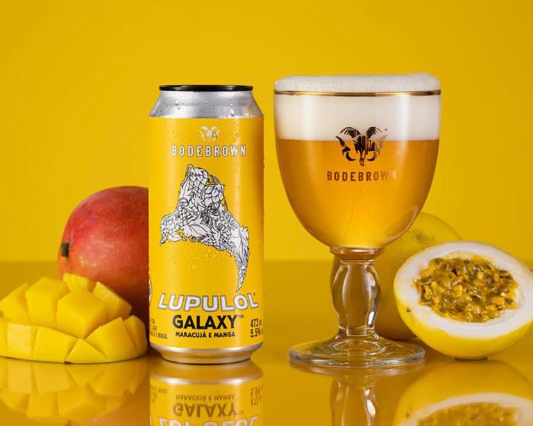 13 lançamentos realizados pelas cervejarias artesanais em setembro