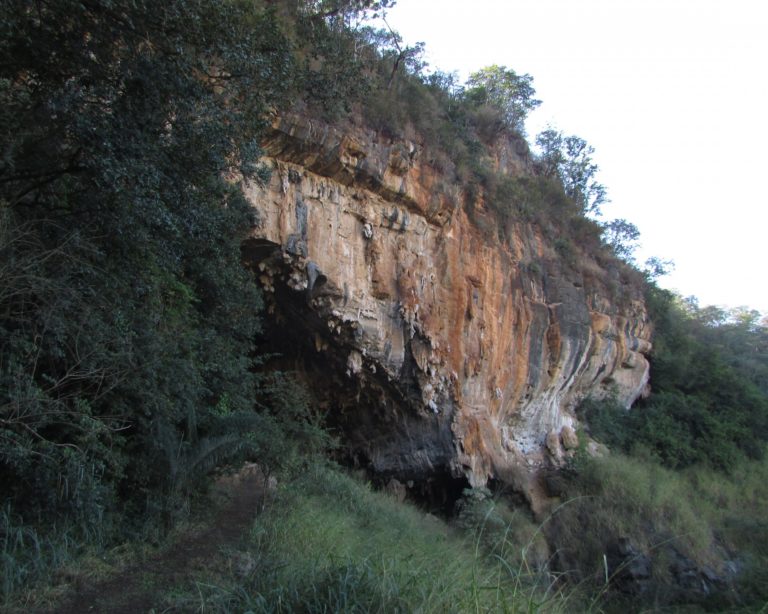 Secretaria de MG diz que Heineken não teria “impacto ambiental significativo”