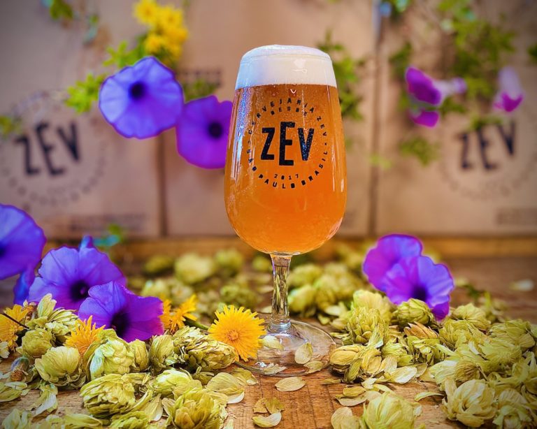 ZEV completa 3 anos e oferece 25% de desconto na sua loja online