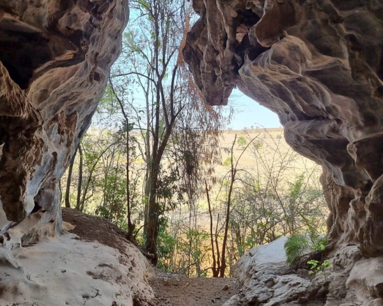 MP recomenda anulação de licenças de fábrica do Grupo Heineken em Minas Gerais