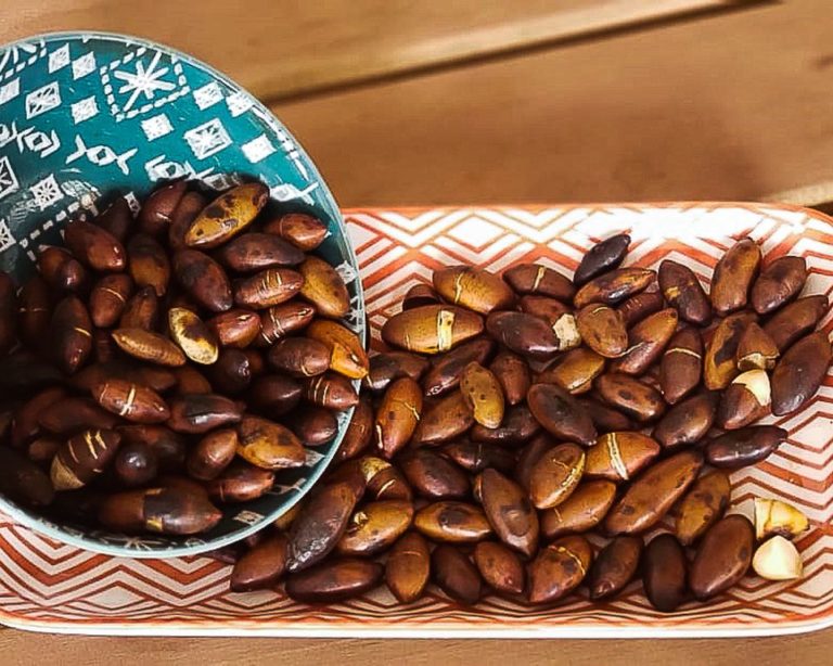 Cerveja valoriza produtoras de baru e empreendedorismo na agricultura familiar