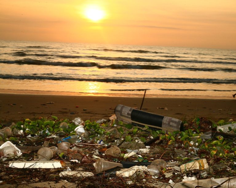 Cerveja, plástico e oceanos: Como a poluição do mar afeta o meio ambiente e a pesca