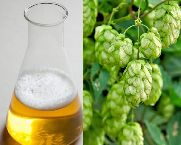 Guia lança sites temáticos sobre ciência e lúpulo com o apoio da Ambev