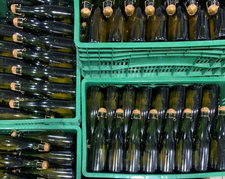 Projeto que busca terroir na mandioca tem adesão de 27 cervejarias e une setor