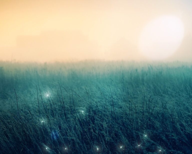 Cerveja com Ciência:  Um caminho para transformar digitalmente as cervejarias