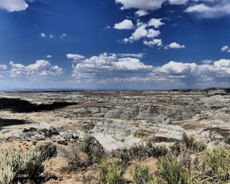 Seca faz presidente mexicano defender fim da produção de cerveja no norte do país