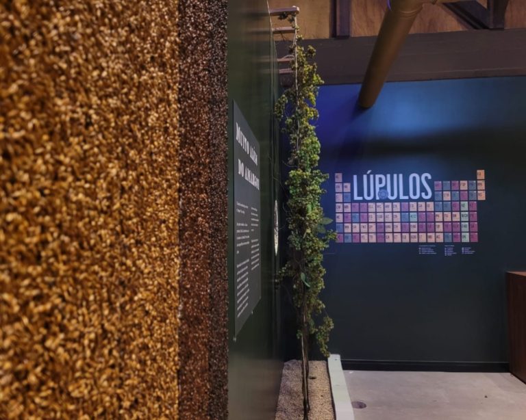 Menu Degustação: Museu reaberto, festas cervejeiras em Joinville e Curitiba…