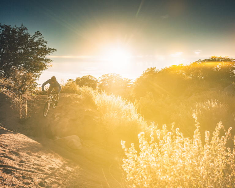 Balcão do Baierle: O homem e as plantas