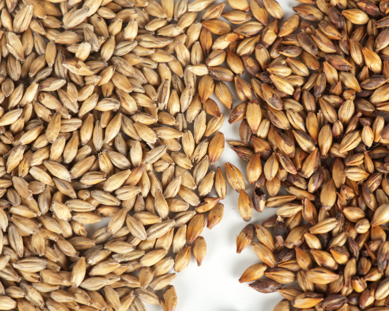 Especial: Busca por maltes se equilibra entre cautela econômica e nova demanda