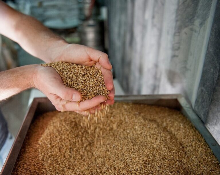 Especial: Safra da cevada e macroeconomia desafiam mercado de maltes