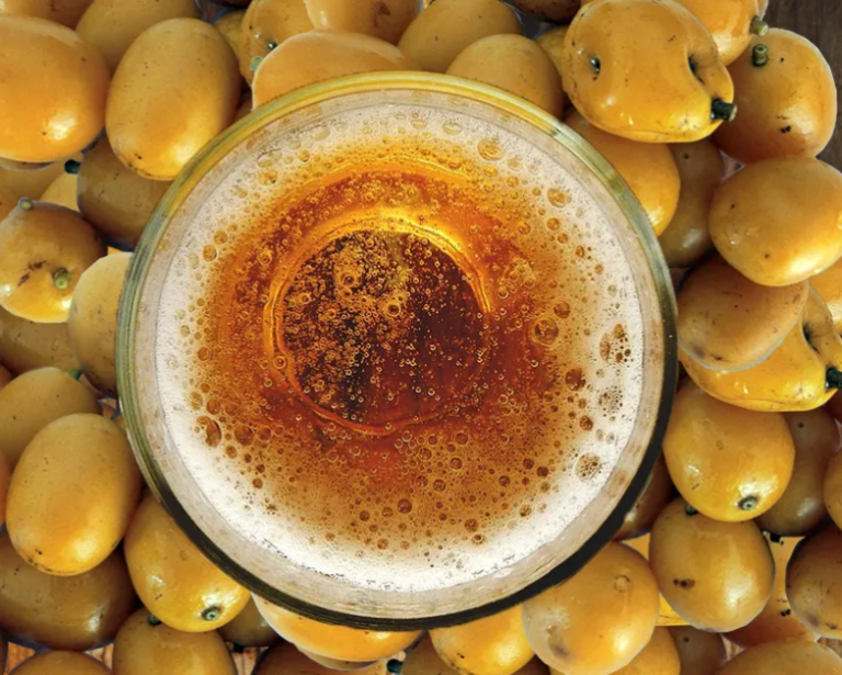 Pesquisa desenvolve cerveja com cajá potencialmente probiótica