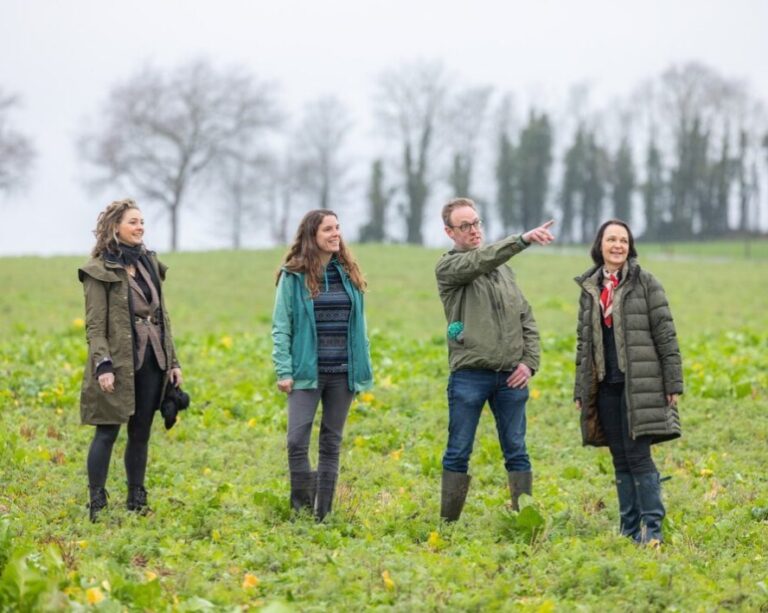 Heineken une forças com Pernod Ricard em projeto sobre malte de cevada