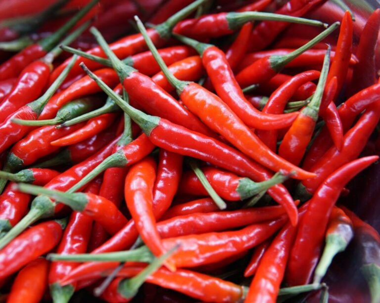 Balcão do Jayro: “Lúpulo na pimenta dos outros é refresco”