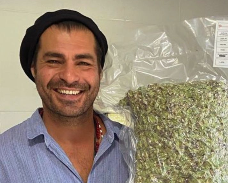 Bohemia lança cerveja com lúpulo cultivado por Thiago Lacerda em Petrópolis