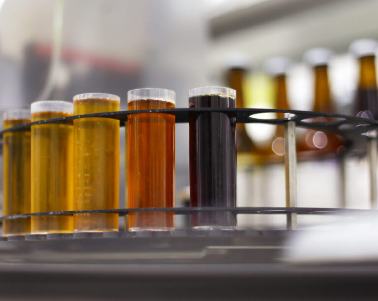 Balcão da Nadhine: Efeitos da guerra na Ucrânia no setor cervejeiro húngaro