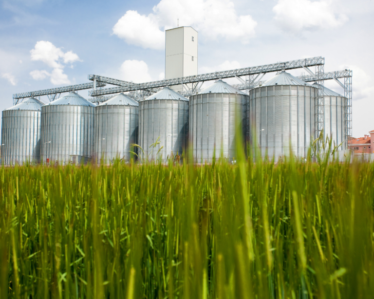 Com aporte de R$ 500 mi, Paraná terá maltaria com foco em maltes especiais